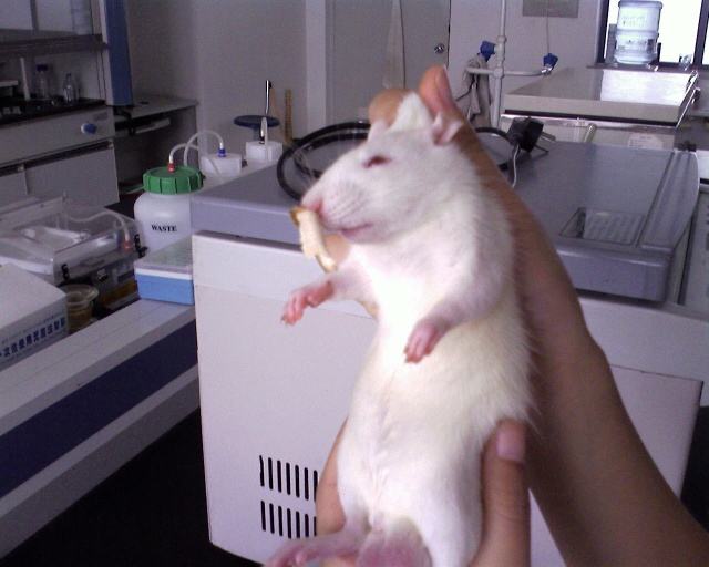 \