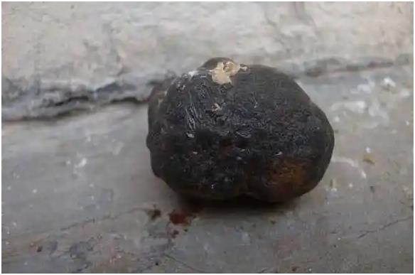 铁锰结核