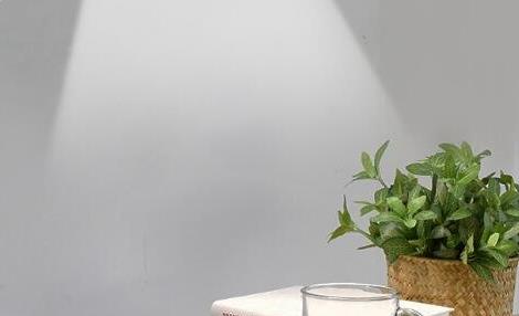 如何查看自己论文发表的状态