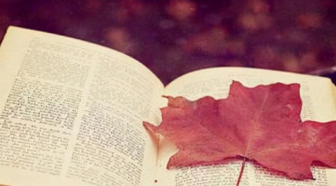 新能源方向可以投稿的期刊有哪些