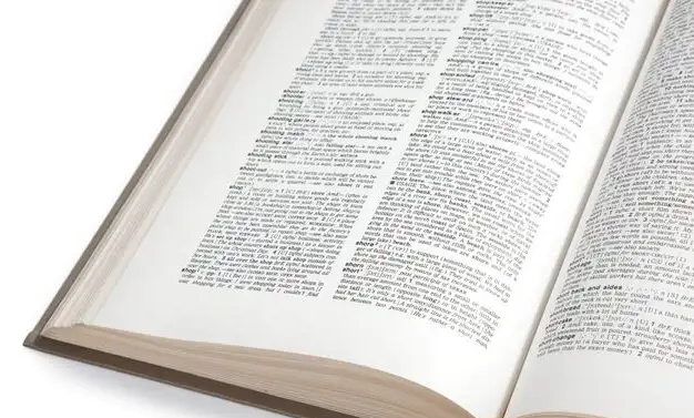 EI期刊可以发中文吗？