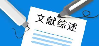 文献综述写作要点