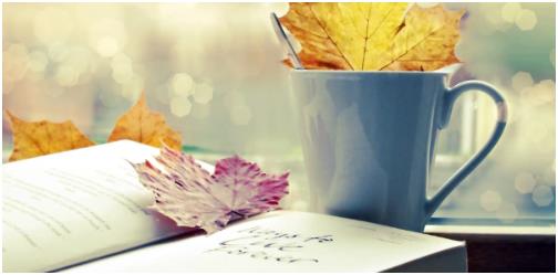 sci电气一区期刊都有哪些？