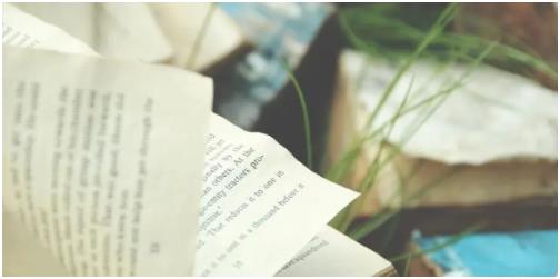 影响因子较高的省级期刊有哪些？