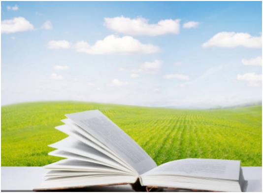 sci论文的实验部分必须要写吗？