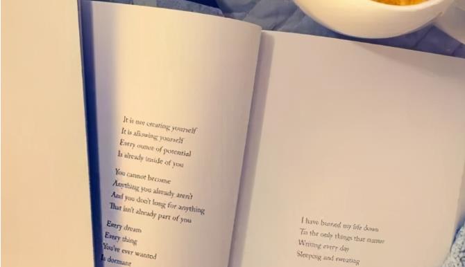 南大核心期刊论文格式是什么？