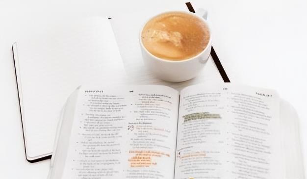 sci二审会重新查重吗？