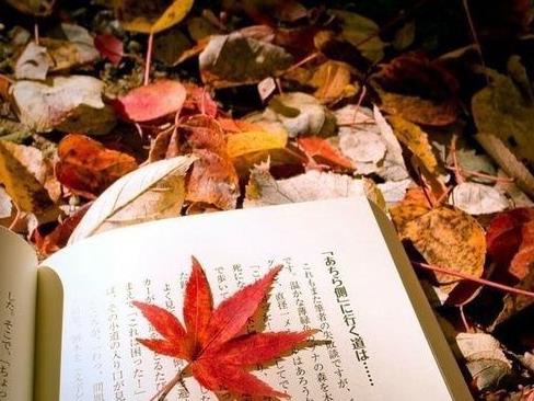 环境与健康杂志投稿时要注意哪些事项呢？