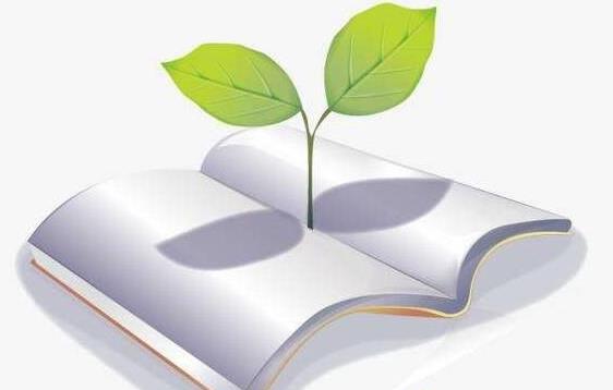 国际性ei会议都是英文吗?