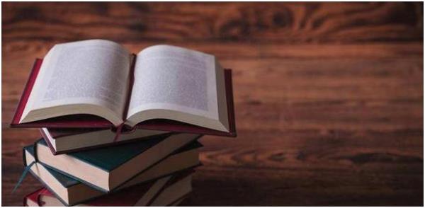 论文引注是什么意思?