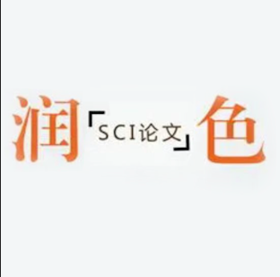 会议论文需要润色吗