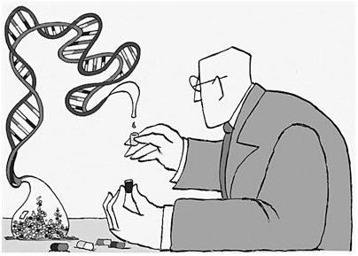 SCI论文的检索周期指的是什么？