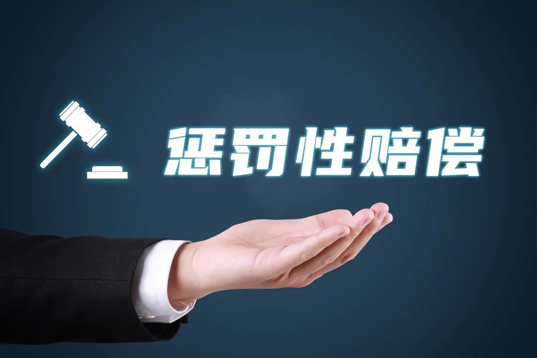 生态环境损害惩罚性赔偿的司法适用及路径优化论文