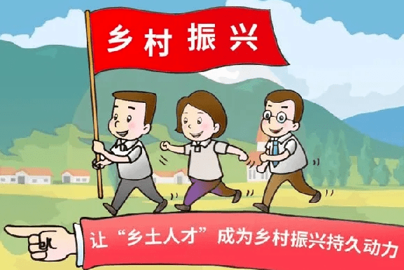 乡村振兴视域下县域人才建设的现状及路径研究—以浙江省苍南县为例论文