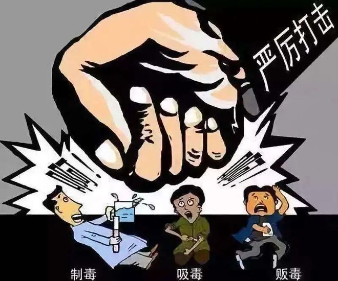 毒品犯罪案件法律适用问题的研究论文