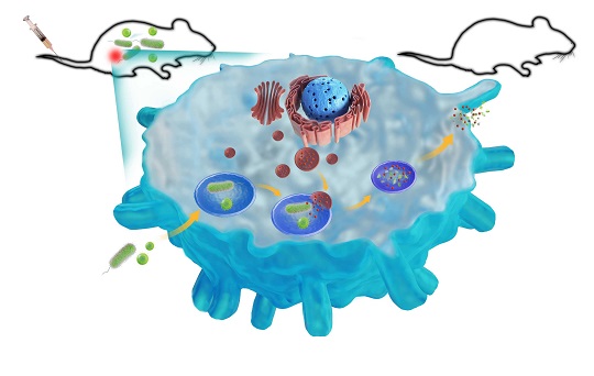 发表核心期刊一定要有主题吗？