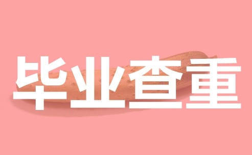 毕业论文已经发表了怎么查重？