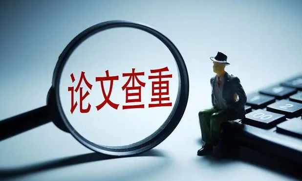 论文查重率有24%高不高？