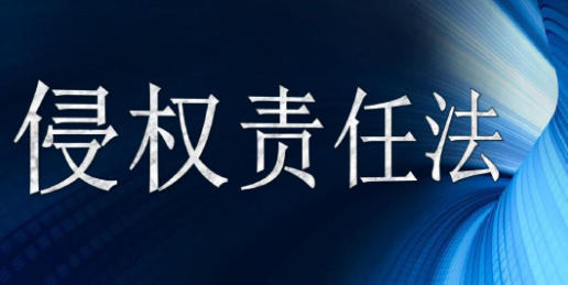 网络服务者在侵权法中的地位与责任探讨论文