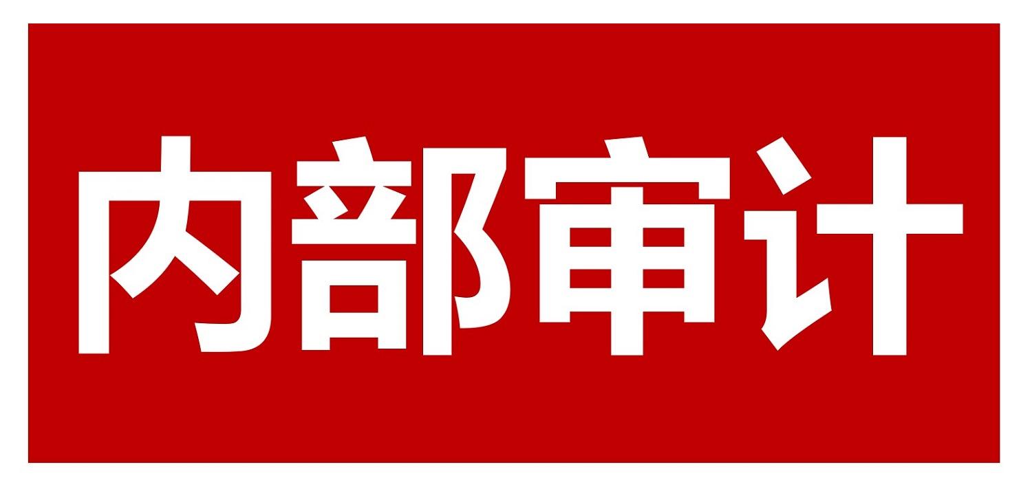 基于内部审计视角的房建工程项目成本管控问题研究——以某房建项目为例论文