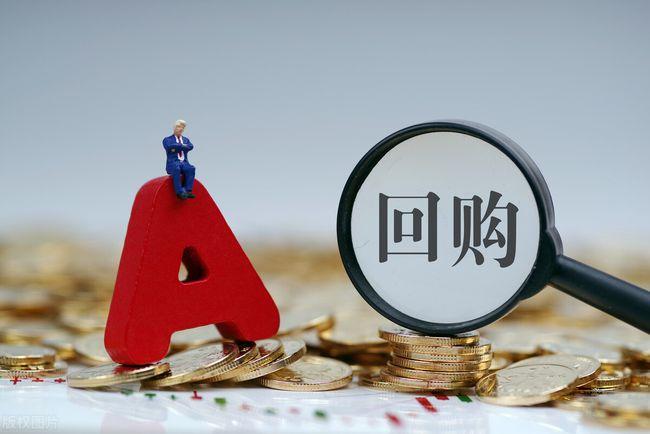 我国有限责任公司股权回购制度存在的问题及完善建议论文