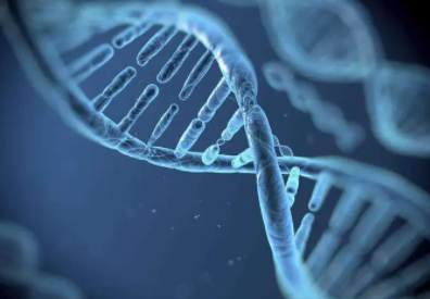 人类基因安全风险防范化解的刑法路径论文