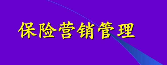 保险公司提升保险营销管理成效的措施探讨论文