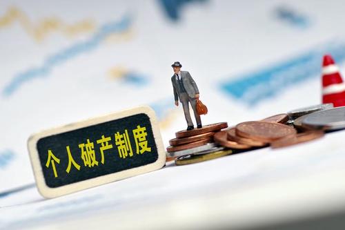 个人破产制度的实践探索与完善路径研究论文