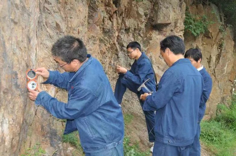 甘肃省和政县双狼沟铁矿地质特征及找矿标志论文