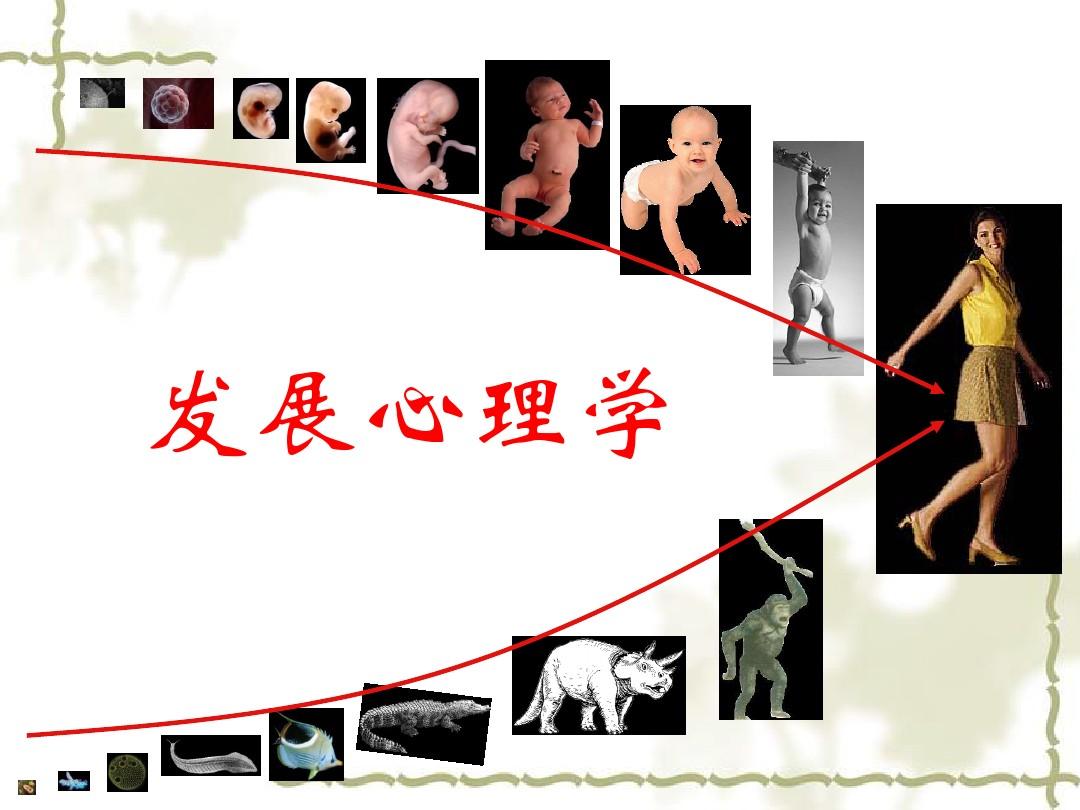 心理与教育学学生认知能力的综合发展论文