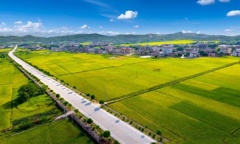 乡村振兴战略下审计监督路径构建探析论文