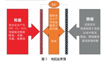 循环水水质电脱盐撬装置的研制与应用论文