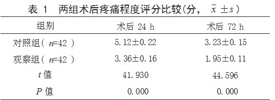 循证护理在胆囊结石腹腔镜手术患者中的应用效果论文