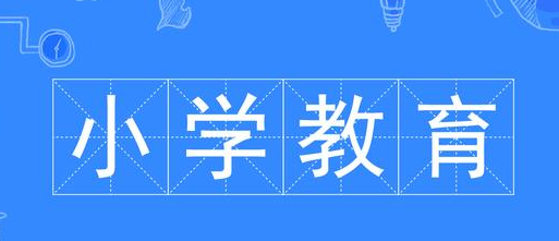 全日制小学教育硕士教师职业能力培养的现状及对策论文