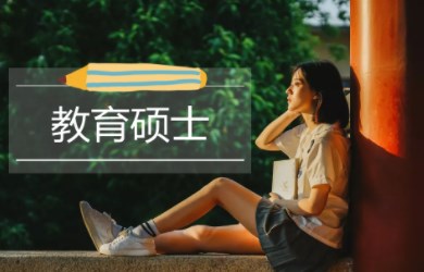 全日制小学教育硕士教师职业能力培养的现状及对策论文