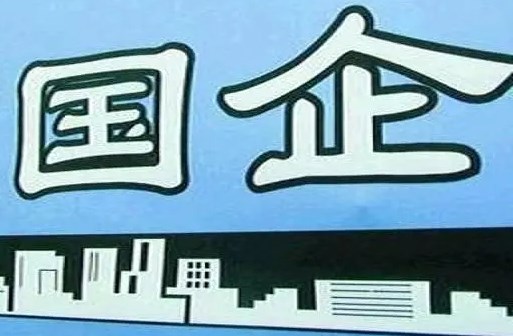 国有企业预算管理面临的困境及解决对策探讨论文