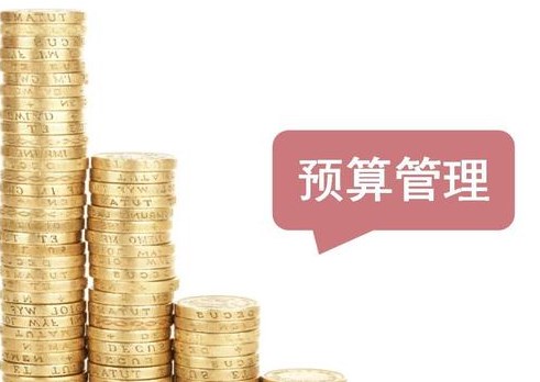 国有企业预算管理面临的困境及解决对策探讨论文
