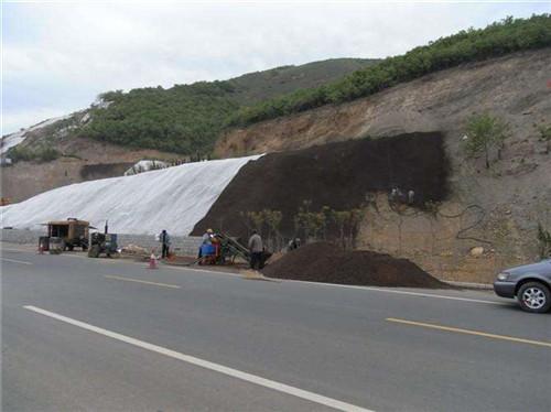 废弃矿山治理中挂网喷播运用分析论文