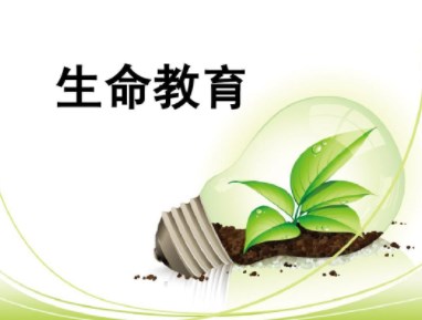 生命教育视角下中职生道德自我的构建论文