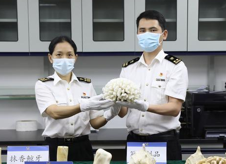 顾及时空特征的海关缉私数据抽取模型论文