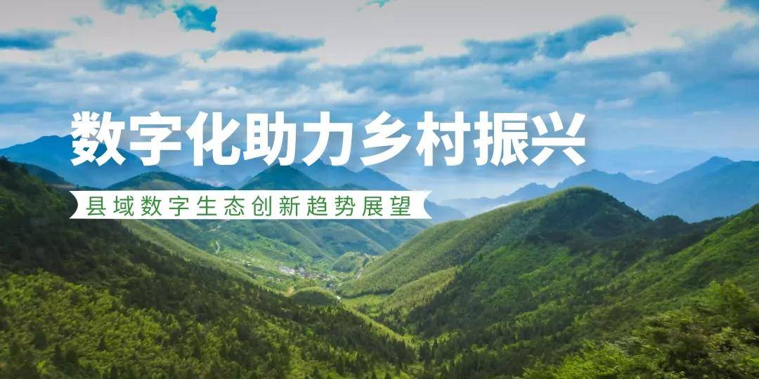 县域职业教育服务乡村振兴战略的实践研究论文