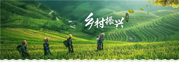县域职业教育服务乡村振兴战略的实践研究论文