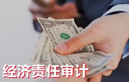 关于建立经济责任审计长效机制的对策思考论文