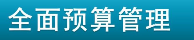 关于企业集团公司全面预算管理存在的问题及对策论文