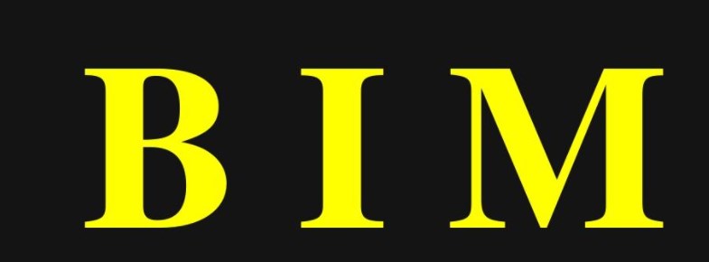 BIM论文发表在什么地方？