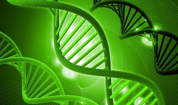 新课程背景下激发学生学习兴趣路径研究—以 A 初中生物教学为例论文