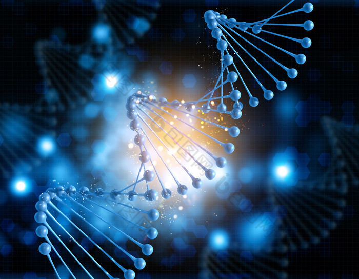 医学研究生分子生物学课程模块化教学改革探索论文