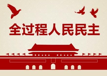浅谈全过程人民民主特征及制度优势论文