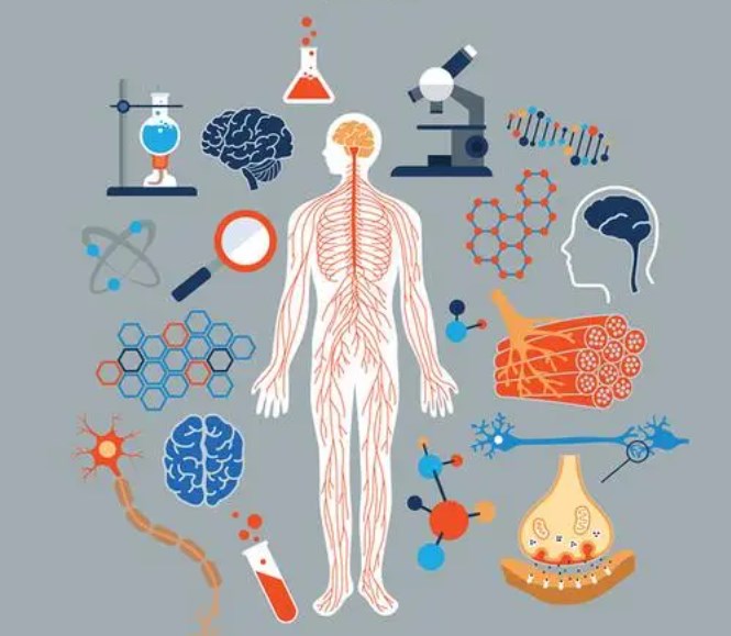 SCI医学论文写作方法！