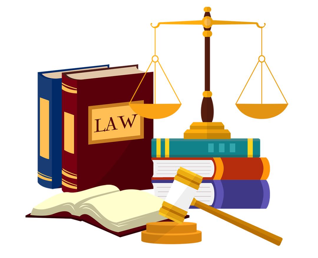 L 市基层海洋执法现状及对策分析论文